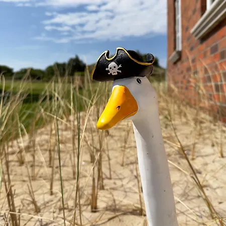 Duenenperle Duenengras Wittdun